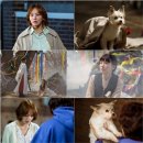 더 사랑스럽개 이미지