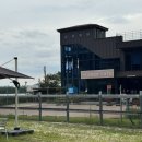 오렌지 애견카페 이미지