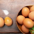 참좋은계란 이미지