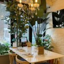 강대전 | 강대후문맛집 단하비 |춘천 효자동 파스타 맛집 솔직후기