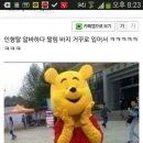 알바 이미지