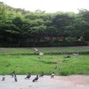 부령약수터 이미지