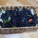 별별농장 이미지