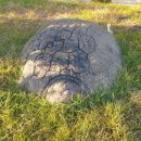 대구곰두리봉사협의회 | 대구시 신청사 조경에 대한 3가지 조언