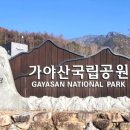 경북 성주 가볼만한 곳, 10선 ~ 추천 여행지, 인기 관광지, 맛집, 특산물 소개~!