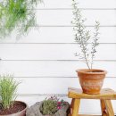 연하민박 이미지