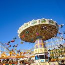 라인행정사 이미지