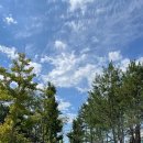 대창들공원 이미지