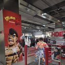 복싱(BOXING) YT GYM | 더 파이팅, 복싱 애니메이션 하지메노 잇포, 글러브 굿즈 구매후기