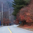 청량산관리사무소 이미지