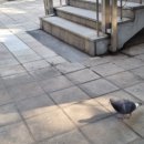 예송약국 이미지