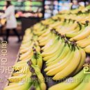 살롱 수 이미지