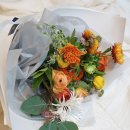 아뜰리에 모이 이미지