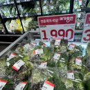 롯데마트 중계점 | 롯데마트 메가 통큰 세일 전단 (~4월 8일까지) 롯데마트 중계점 구매 후기