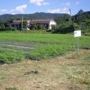 상미농장 이미지