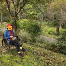 물맑음수목원 목재문화체험장 | 수동 물맑음수목원과 흙과나무