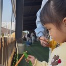 양아목장 이미지