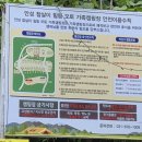 [오토 캠핑] 참살이 오토 캠핑장 1박 후기