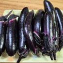 미락농장 이미지