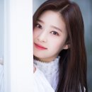 컬러라이즈