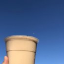 bubble tea 💙 이미지