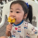 11590-가46-2 | 오크밸리 숙소 어디가 좋을까? 2가족이 묵은 밸리빌리지 빌라A 46평 솔직후기
