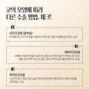 아이퀸성형외과의원 네이버블로그