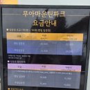 핑크파크 | 대구 아이와 가볼만한 곳 청도핑크모래 밭 무아 마운틴 파크 방문후기