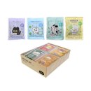 모닝글로리 이미지