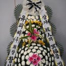 유피씨 티스토리