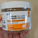 준소프트 | 집중력 영양제 추천, 우리 아이 공부 습관 바꿔준 에쿠아젠 프로 소프트겔 후기
