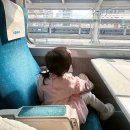 간식열차 | KTX 열차 자판기 위치 판매상품 가격 정보 공유 아이랑 기차여행 간식 고민 해결