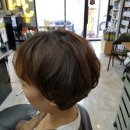 에이치스타일(Hstyle) 이미지