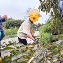 풀빛향기송정마을 이미지