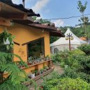 낭띠전원카페 | 200813_청양 카페 낭띠