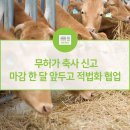 무허가 축사 신고 마감 한 달 앞두고 적법화 협업 이미지