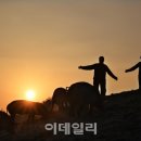 돈다산농장 이미지