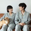 라이크슬립
