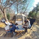 파주더시크릿 | 파주 더시크릿가든, 경기도 캠프닉 장소 딱이야 (주목2)