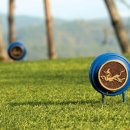 타니스테이 이미지