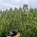 동행헤어 이미지