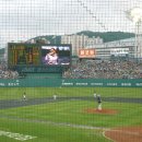 7월31일 롯데자이언츠 VS 엘지 트윈스 이미지