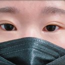 바이블리아이래쉬