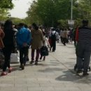 YMCA 녹색장터 이미지