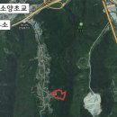 일품행정사사무소 이미지