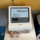 강진-26 | 강진 아기랑 설성식당, 고려청자박물관 (43개월,16개월)솔직후기