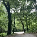 김용사 야영장 이미지