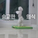 쌈바농장 이미지