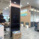 산후 골반 통증 정형외과 진료 솔직 후기: 체외충격파부터 물리치료까지
