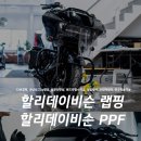 나인티게러지 이미지